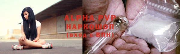 стафф Ростов