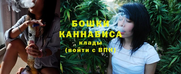 стафф Ростов