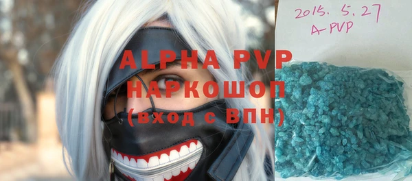 стафф Ростов