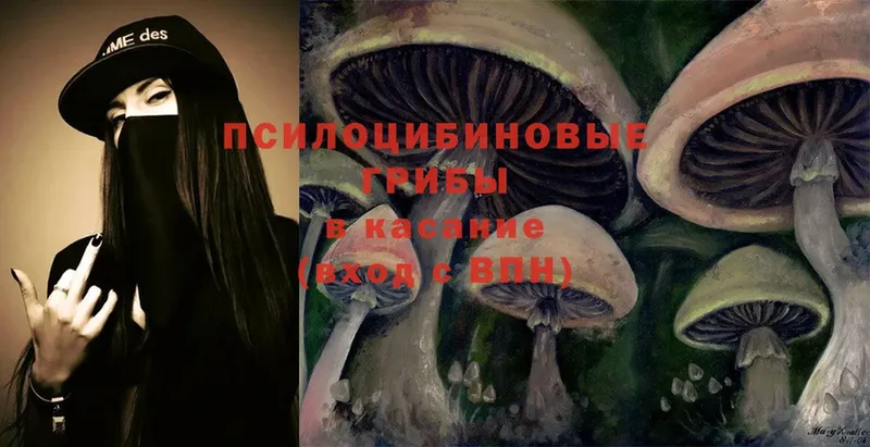 Псилоцибиновые грибы Magic Shrooms  блэк спрут ТОР  Сим 