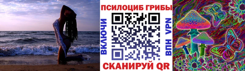 купить наркотик  Сим  Псилоцибиновые грибы ЛСД 